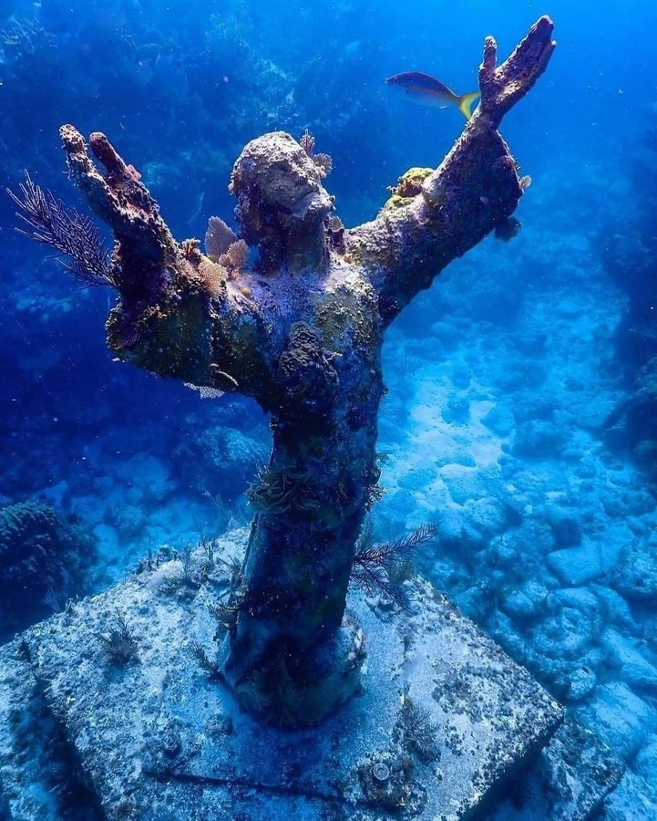 20 Breathtaking Images of Sunken Sculptures
