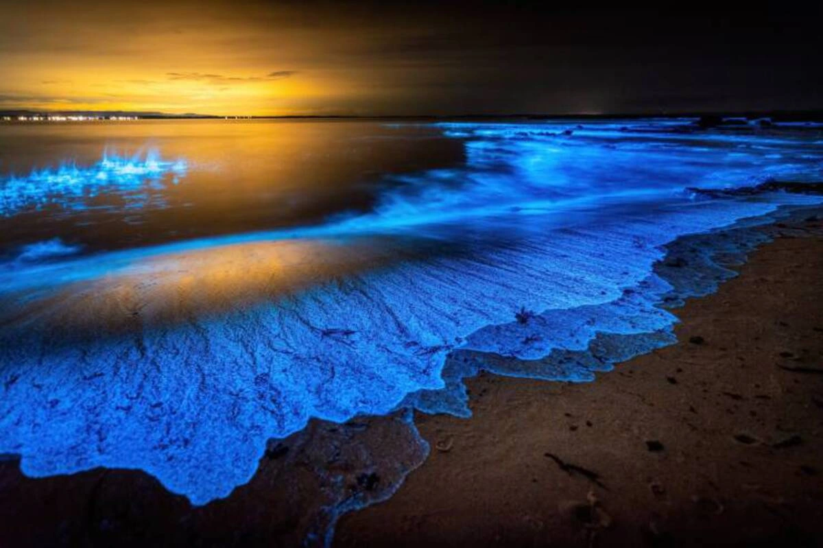 42 Entertaining Images to Energize Your Day