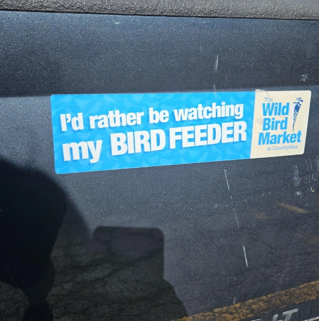 33 Quirky Bumper Stickers That Will Make You Laugh Out Loud