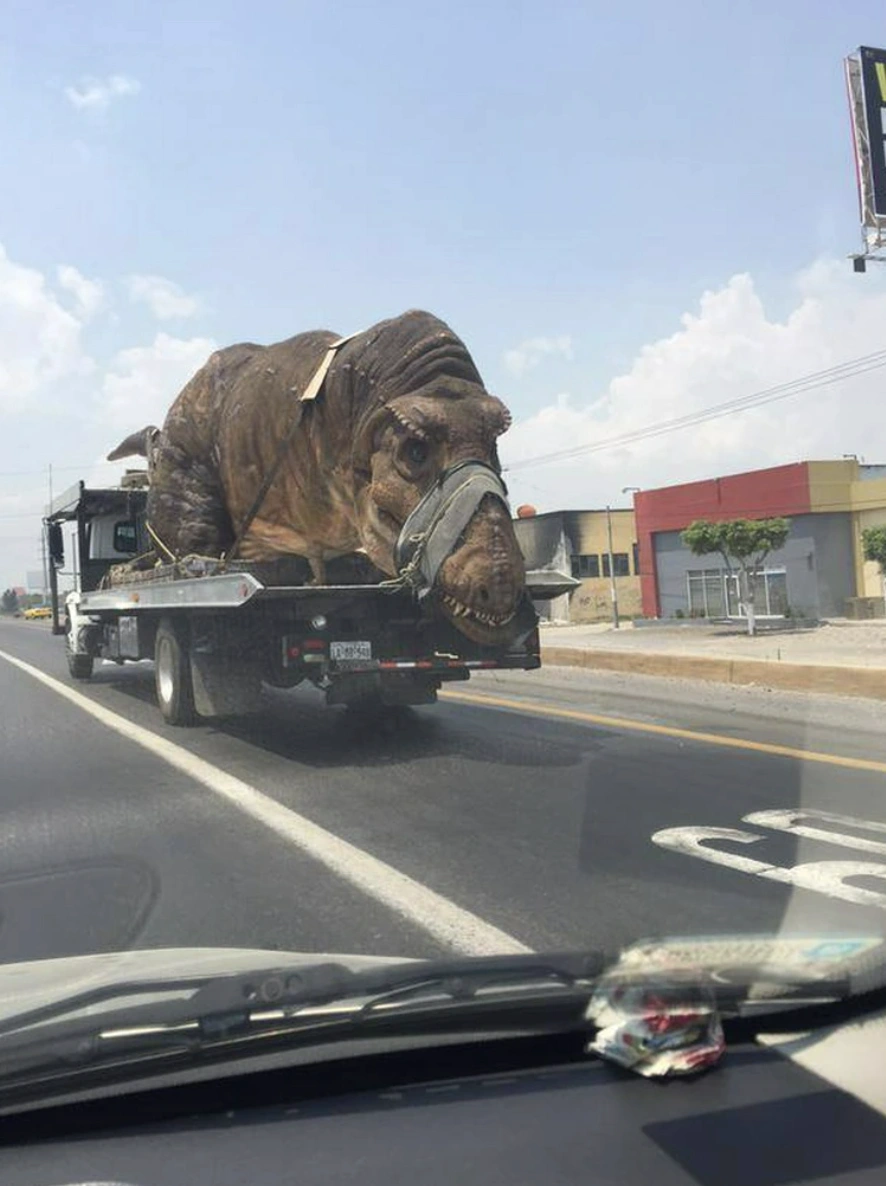 The Outlandish Methods of Transporting Oversized Creatures from Point A to Point B
