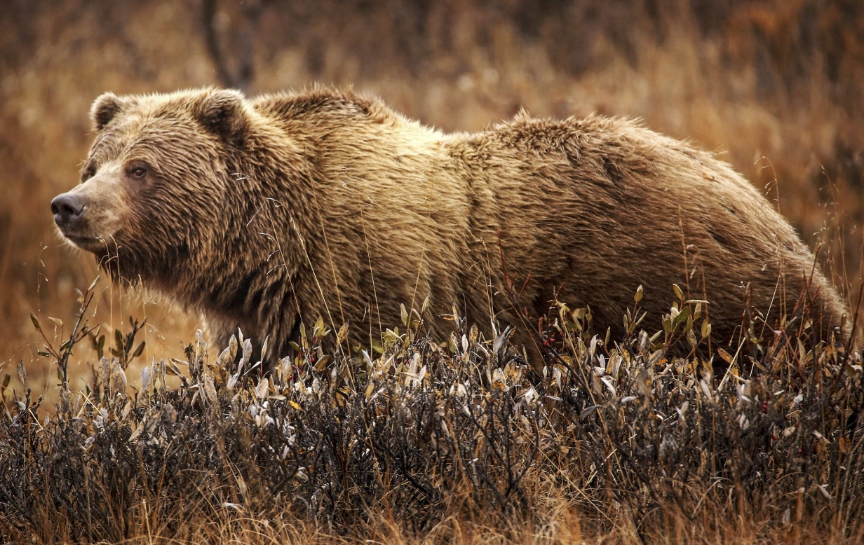 Expand Your Knowledge: 22 Surprising Facts to Expand Your Horizons