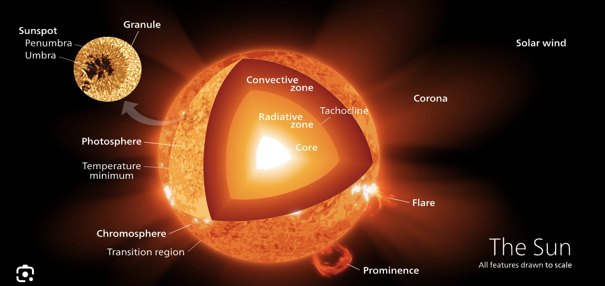 Expand Your Knowledge: 22 Surprising Facts to Expand Your Horizons