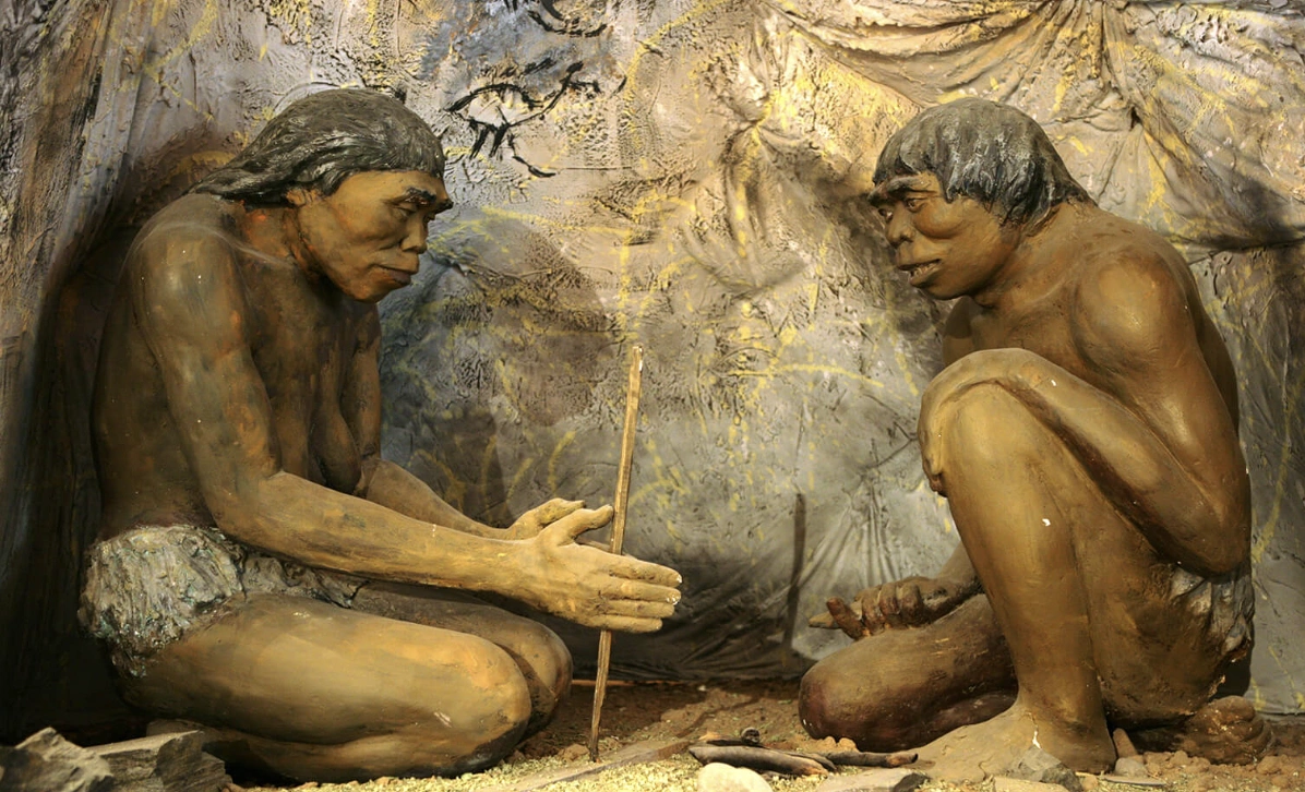 Expand Your Knowledge: 22 Surprising Facts to Expand Your Horizons