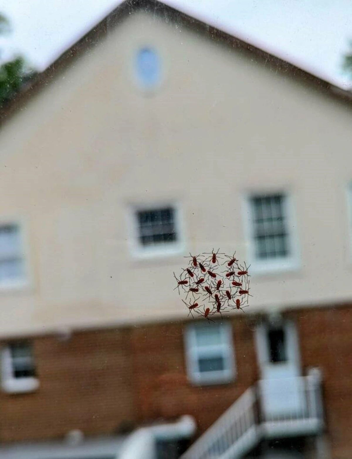 40 Bizarre Sights and Intriguing Discoveries That People Display