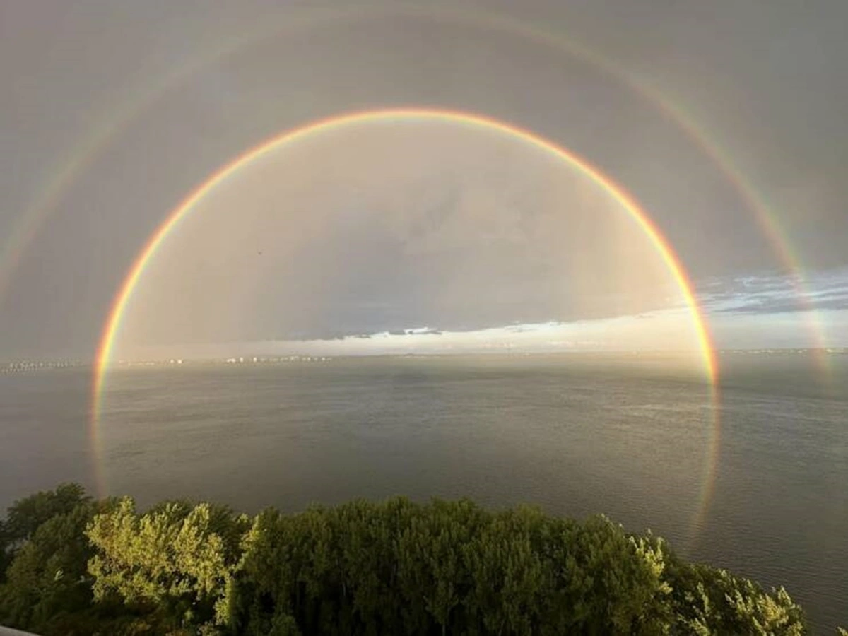 40 Bizarre Sights and Intriguing Discoveries That People Display