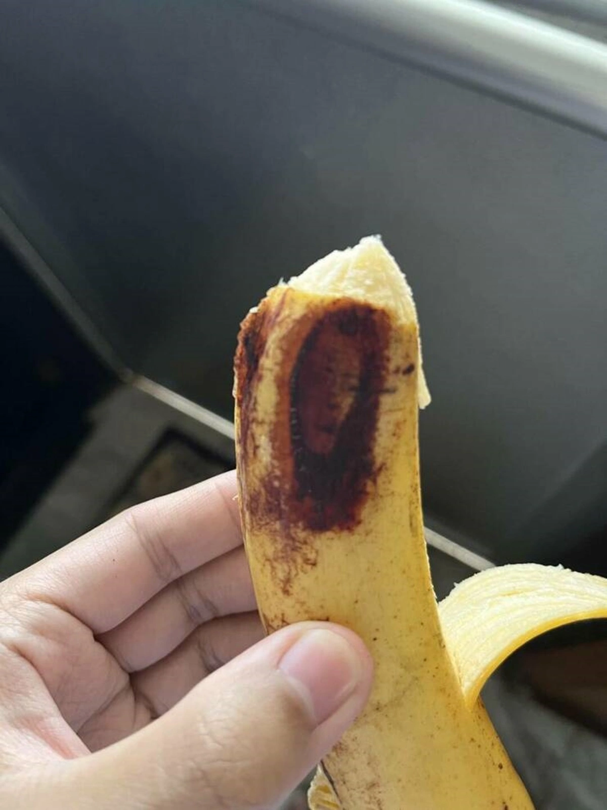 40 Bizarre Sights and Intriguing Discoveries That People Display