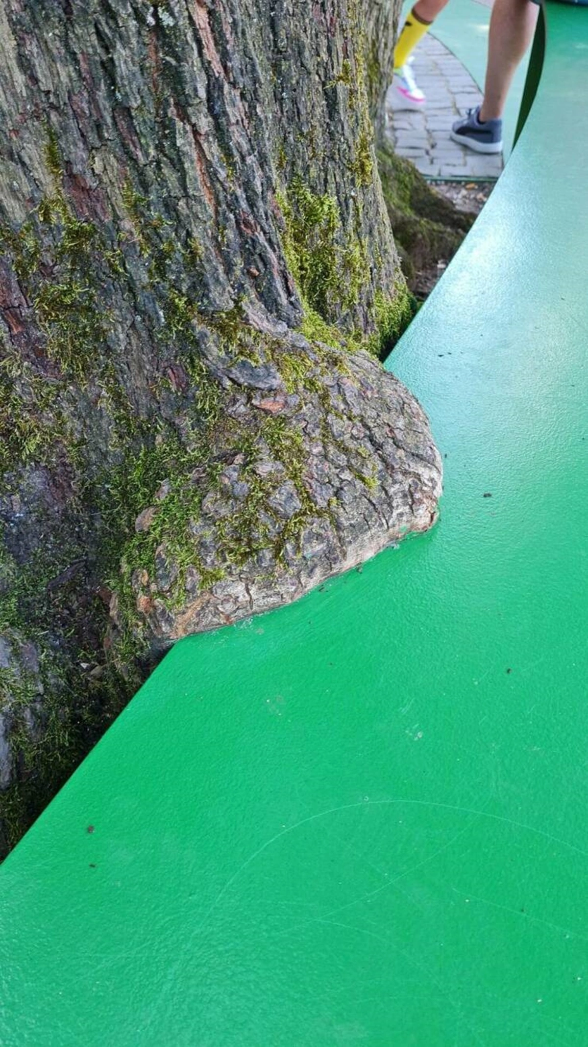 40 Bizarre Sights and Intriguing Discoveries That People Display