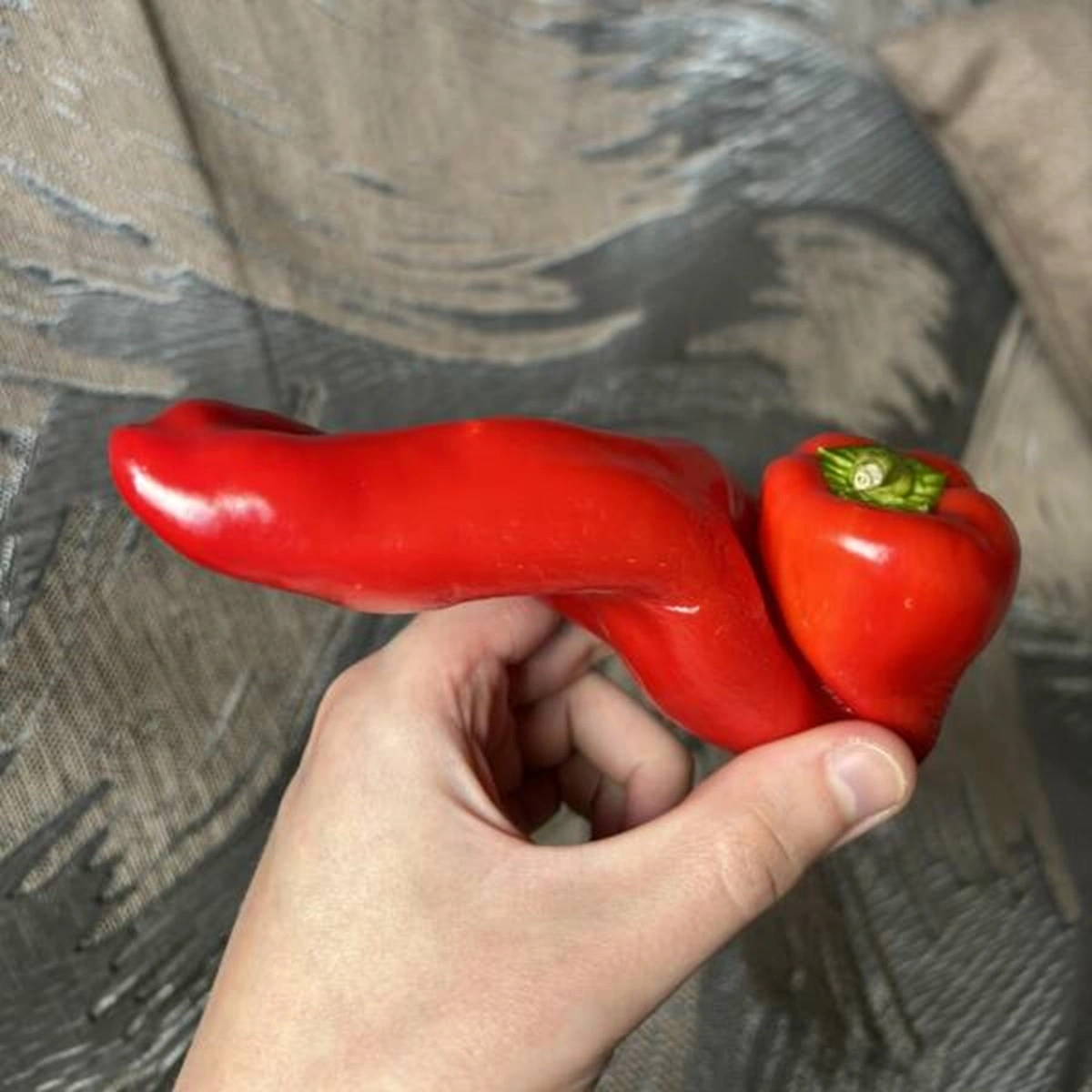 40 Bizarre Sights and Intriguing Discoveries That People Display