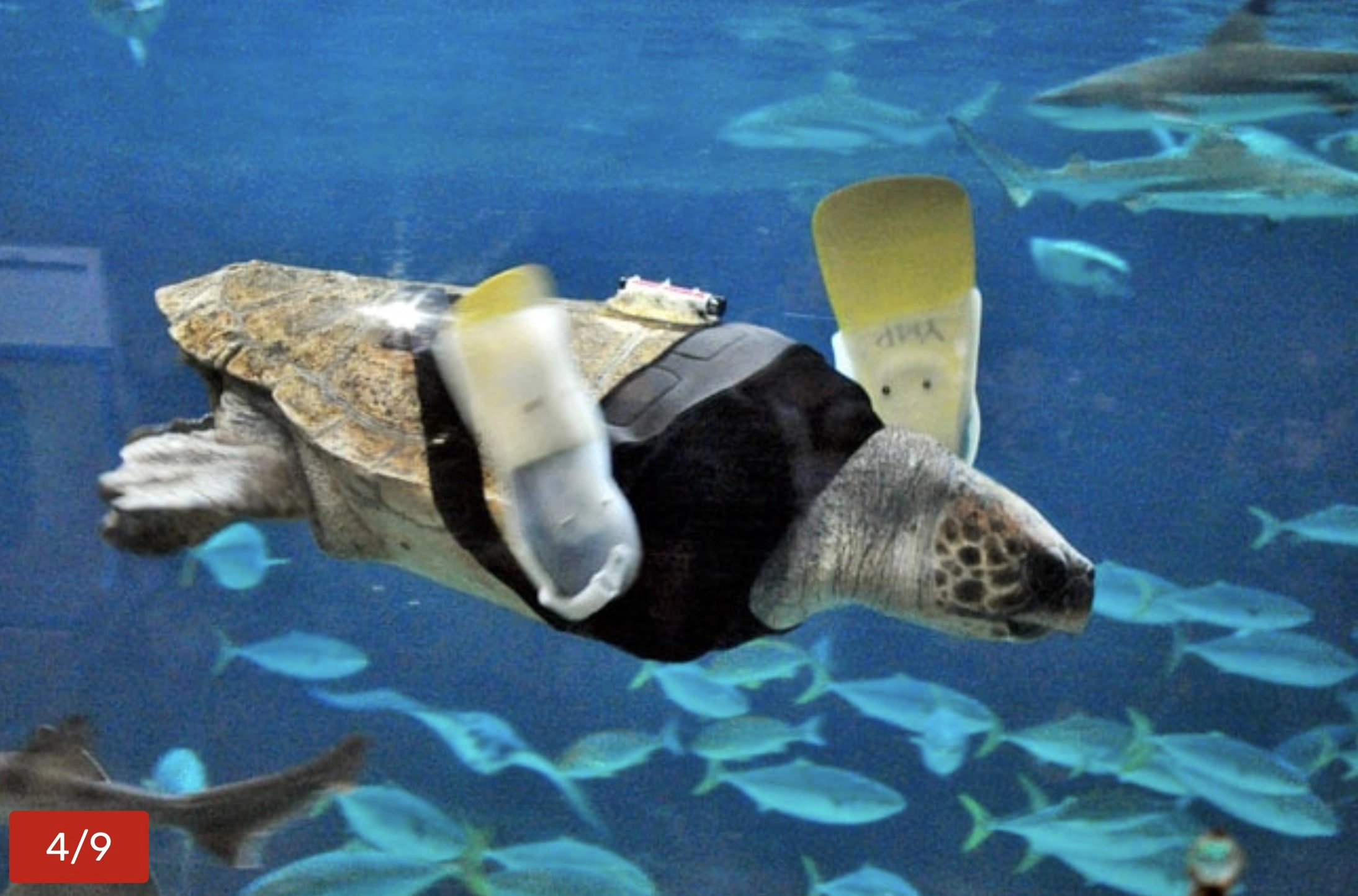 Reviving 49 Cybernetic Creatures in a Futuristic World