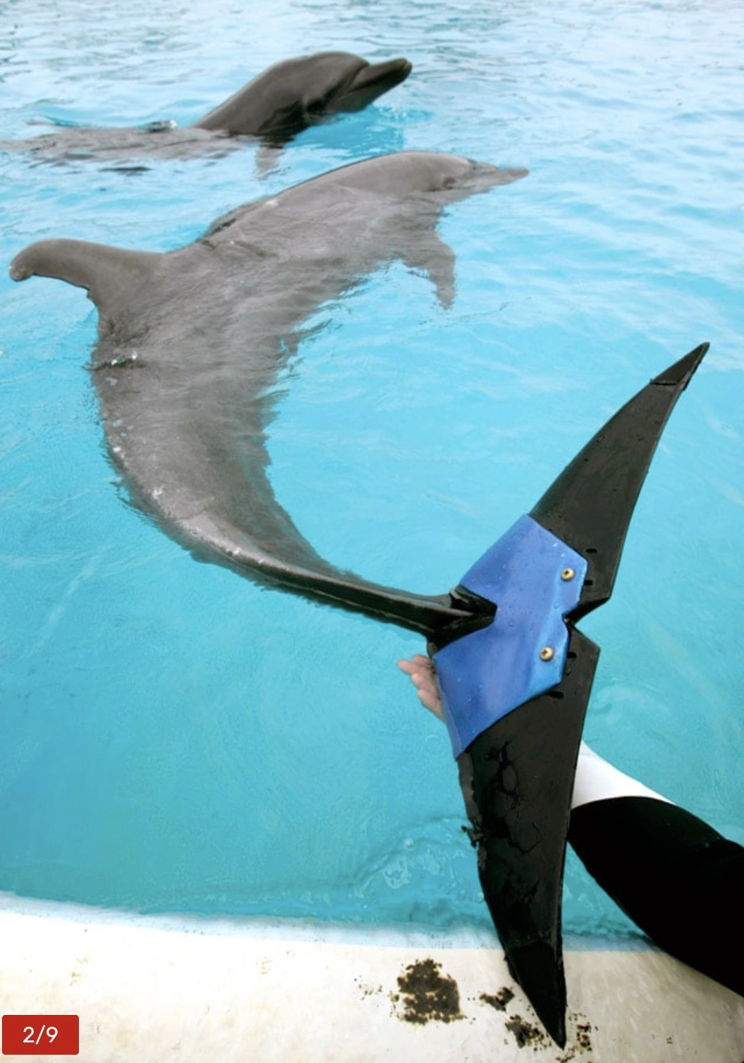 Reviving 49 Cybernetic Creatures in a Futuristic World