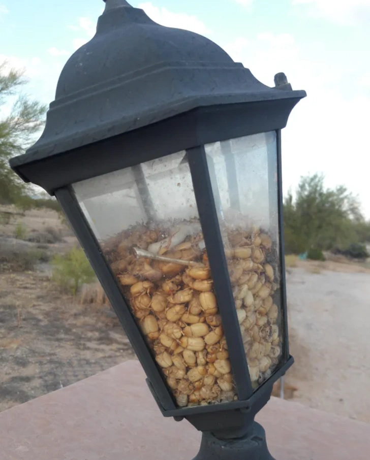 33 Captivating Images to Broaden Your Perspective