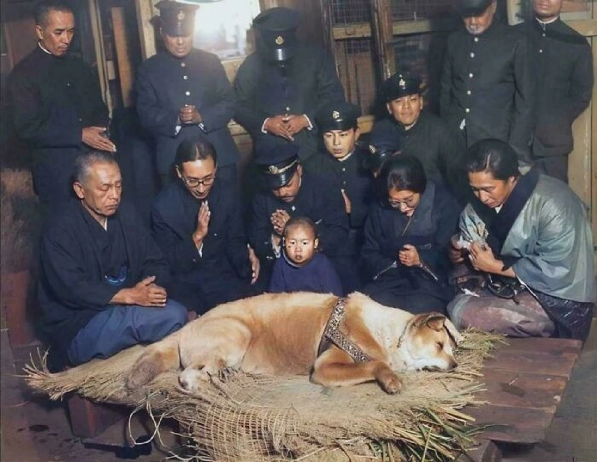 30 Captivating Historical Images that Transport You Through Time