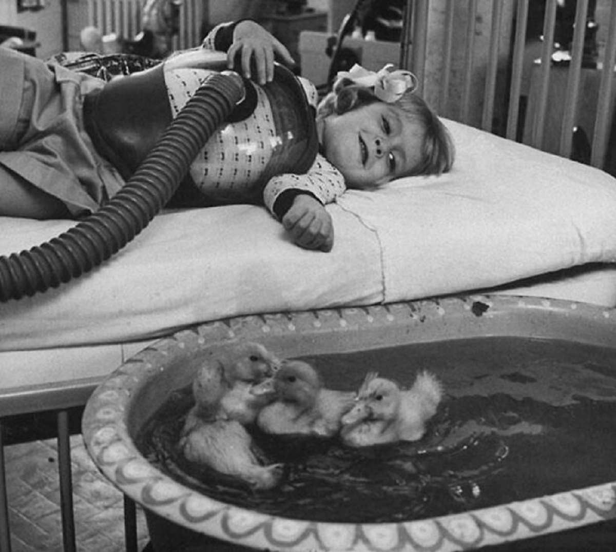 30 Captivating Historical Images that Transport You Through Time