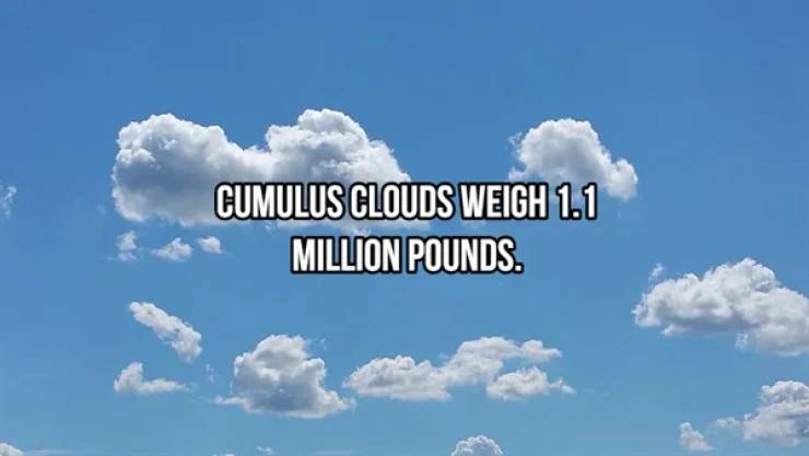 20 Mind-Blowing Facts to Ignite Your Intelligence
