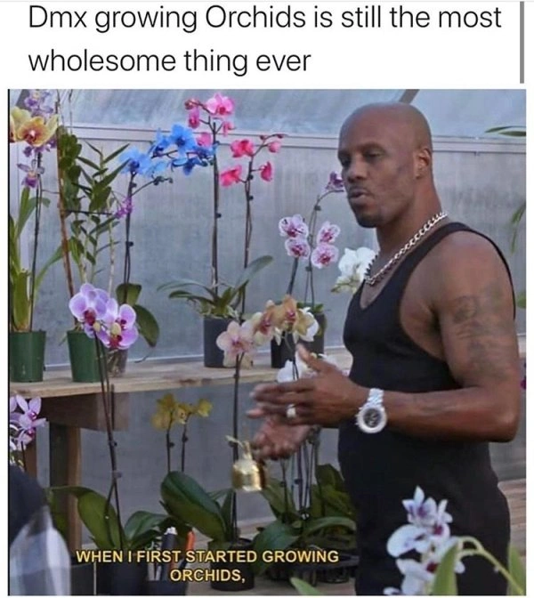 25 Inspirational Individuals Who Achieved Remarkable Feats