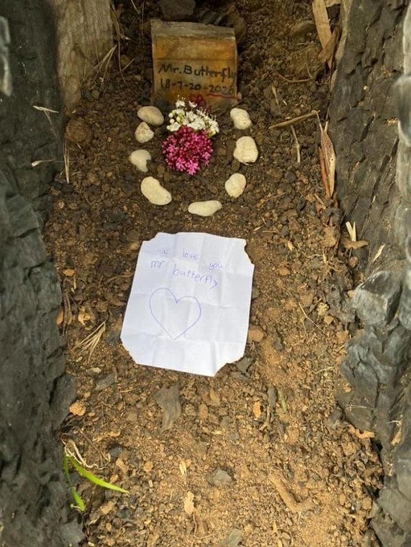 25 Inspirational Individuals Who Achieved Remarkable Feats