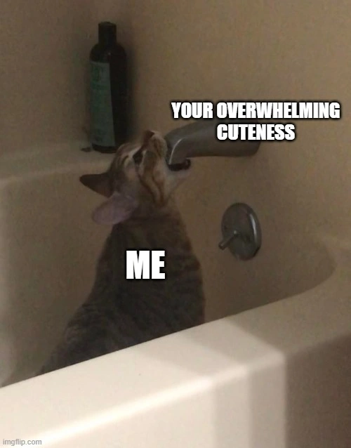 23 Hilarious Relationship Memes Perfect for a Cozy Cuddle Session