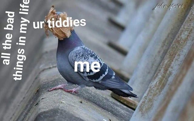 23 Hilarious Relationship Memes Perfect for a Cozy Cuddle Session