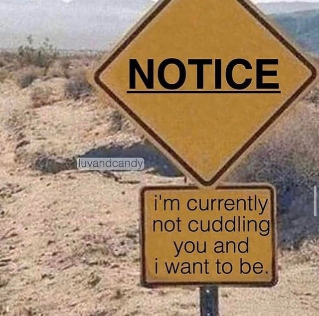 23 Hilarious Relationship Memes Perfect for a Cozy Cuddle Session