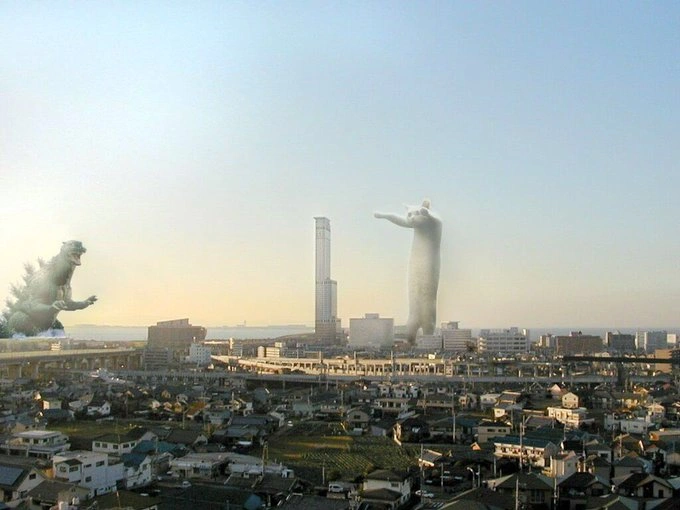 Iconic Meme Legend and Beloved Feline 'Longcat' Passes Away