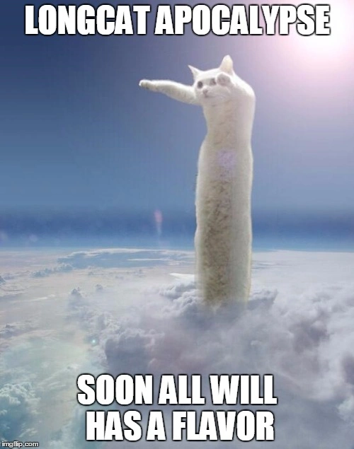 Iconic Meme Legend and Beloved Feline 'Longcat' Passes Away