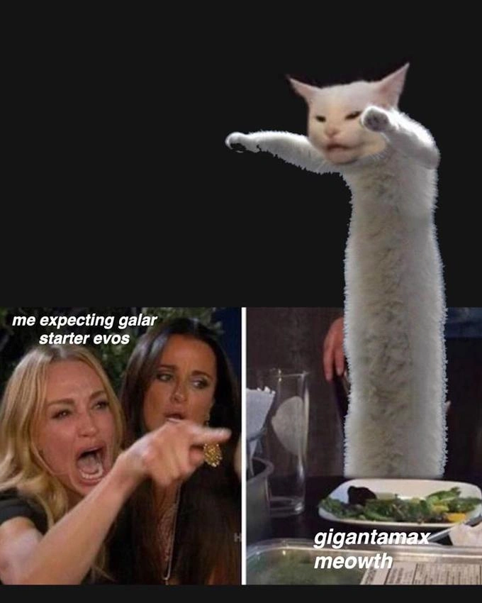 Iconic Meme Legend and Beloved Feline 'Longcat' Passes Away