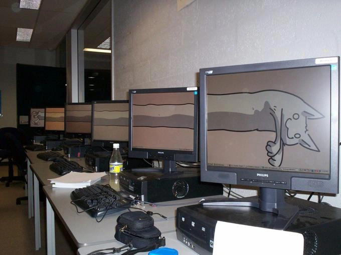 Iconic Meme Legend and Beloved Feline 'Longcat' Passes Away