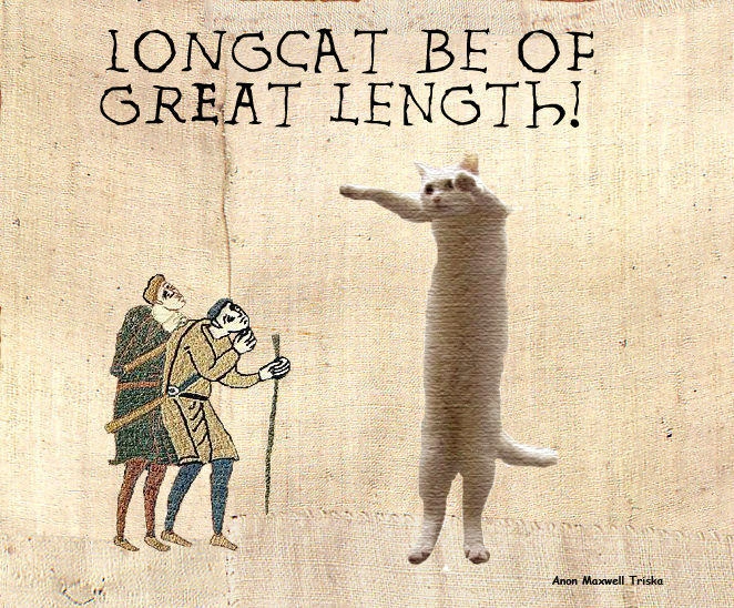 Iconic Meme Legend and Beloved Feline 'Longcat' Passes Away
