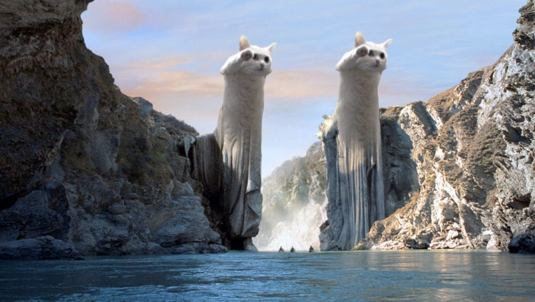 Iconic Meme Legend and Beloved Feline 'Longcat' Passes Away