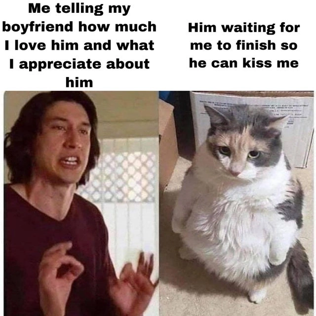 36 Hilarious Relationship Memes that Will Make You Want to Get Married