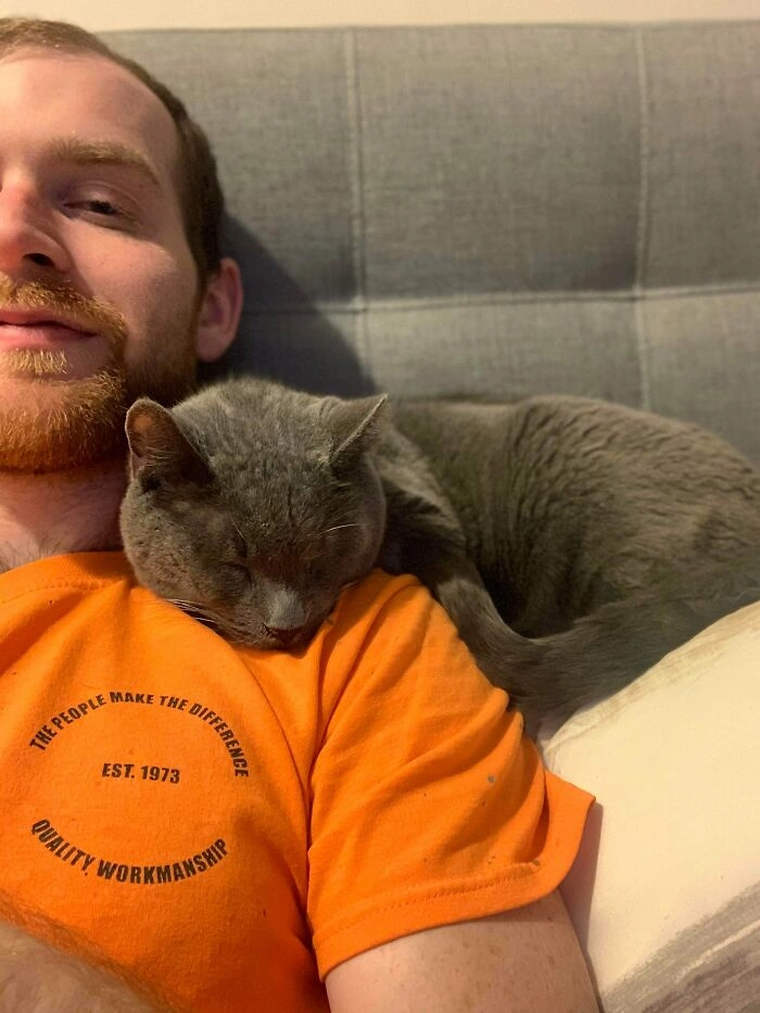 39 Heartwarming Photos of Rescued Pets Finding Their Forever Homes