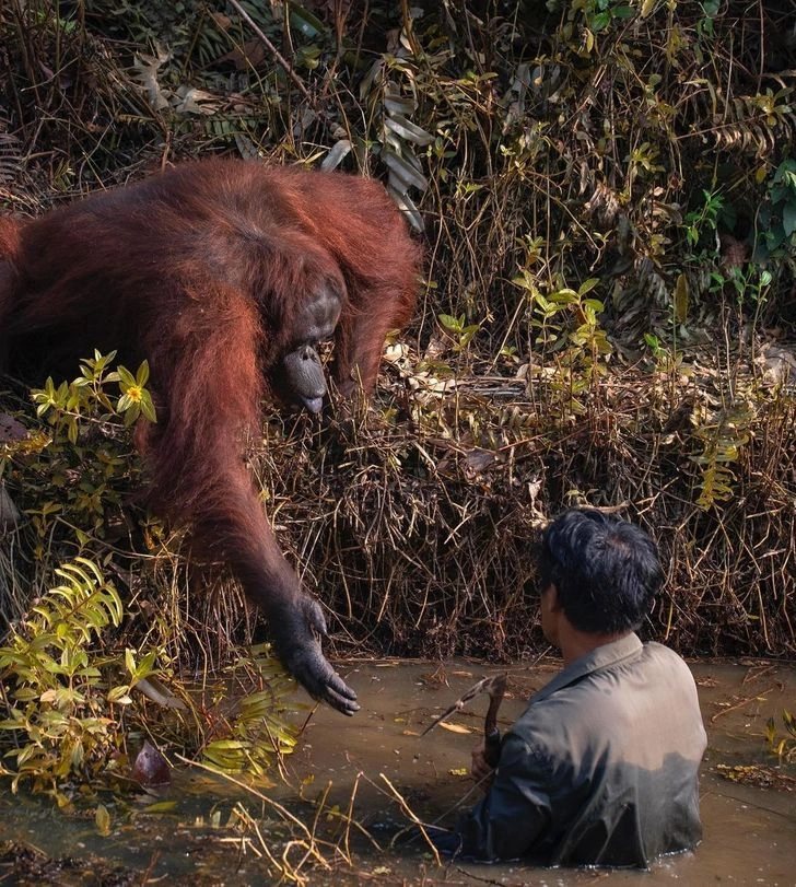 15 Heartwarming Tales Guaranteed to Brighten Your Day
