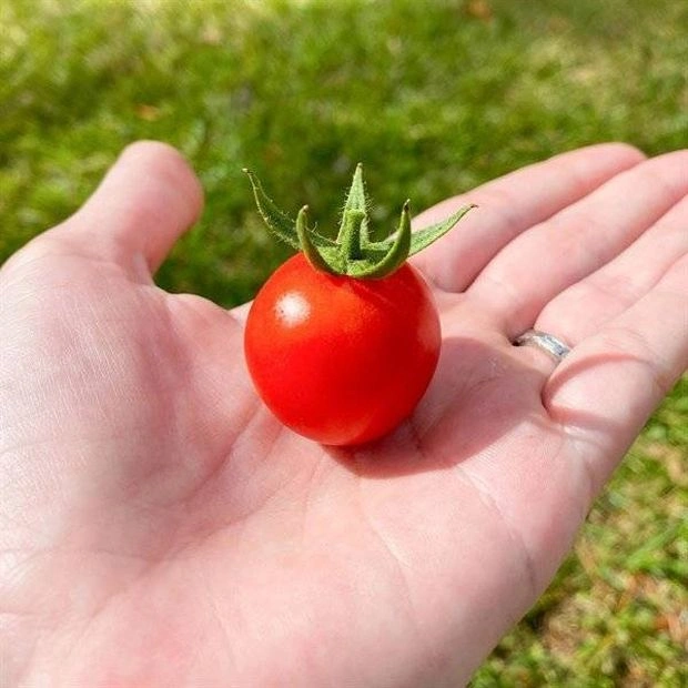 34 Captivating Images That Are Almost Perfect