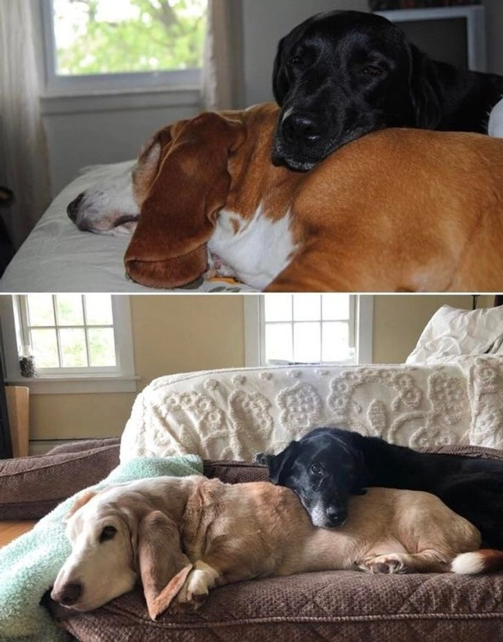 21 Individuals Who Embrace Aging with Grace