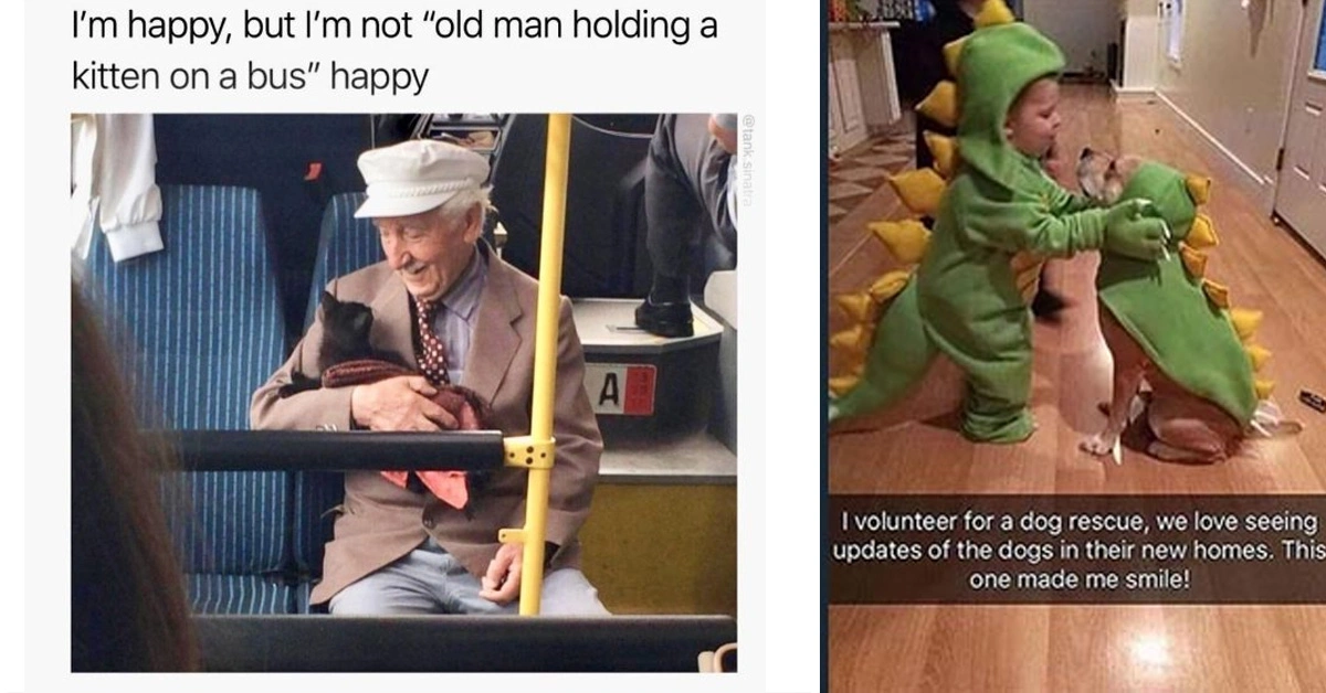 22 Heartwarming Images and Tales to Brighten Your Day