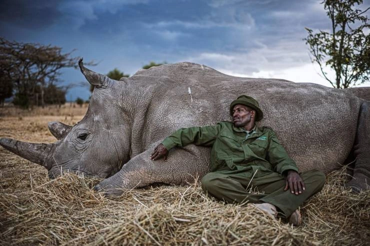 41 Breathtaking Images Capturing the Beauty of Our Remarkable World