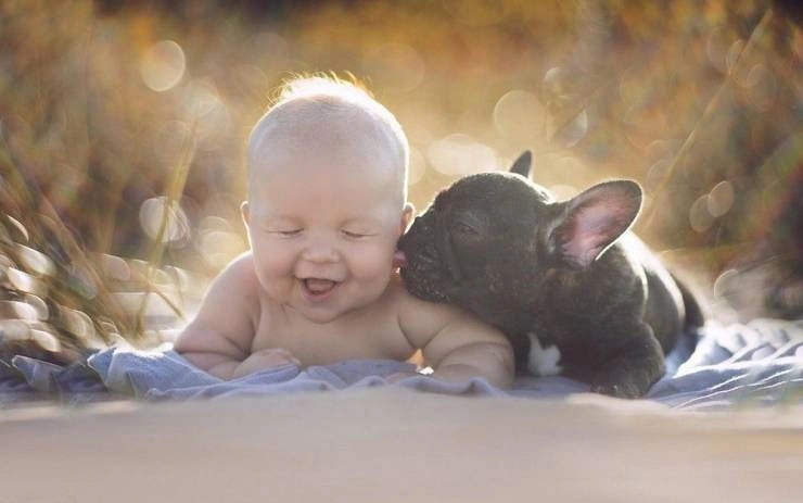 41 Breathtaking Images Capturing the Beauty of Our Remarkable World