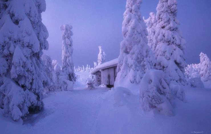 41 Breathtaking Images Capturing the Beauty of Our Remarkable World