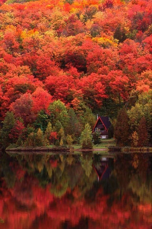 41 Breathtaking Images Capturing the Beauty of Our Remarkable World