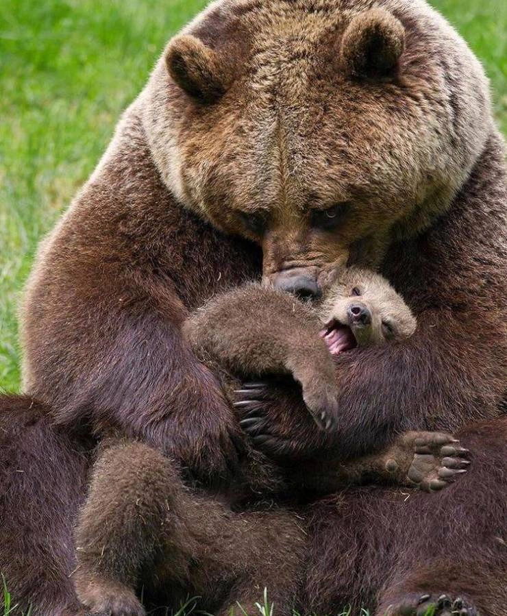 41 Breathtaking Images Capturing the Beauty of Our Remarkable World