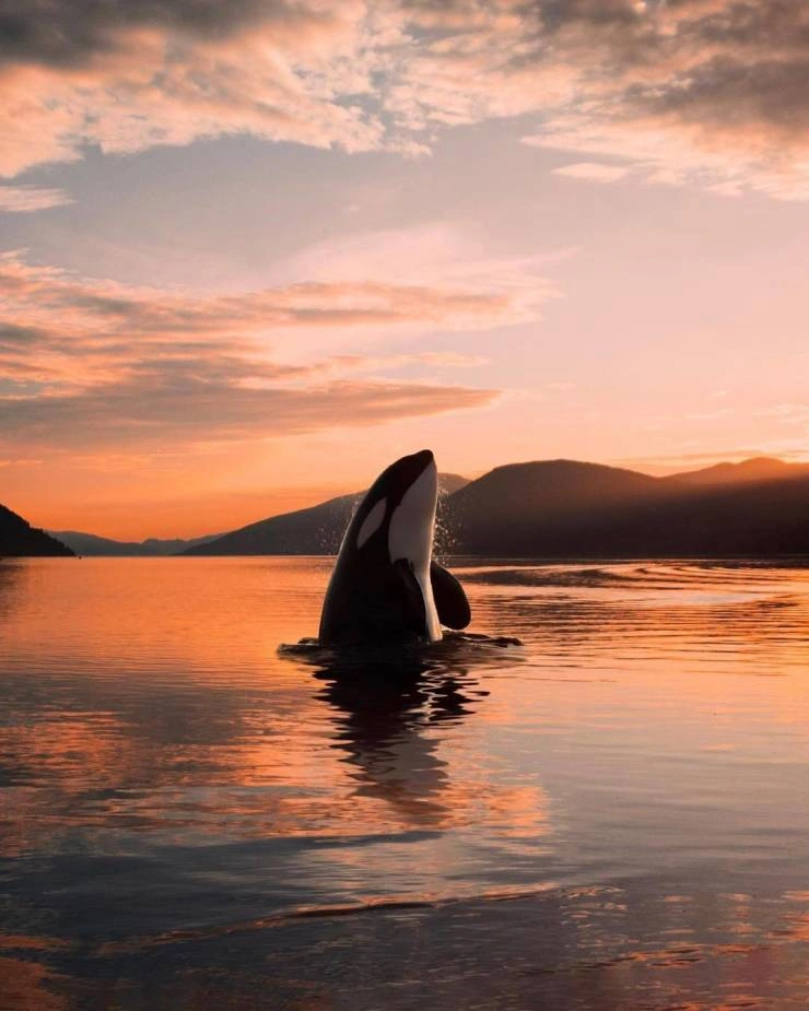 41 Breathtaking Images Capturing the Beauty of Our Remarkable World