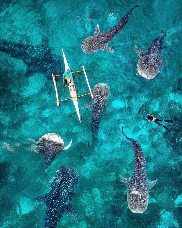 41 Breathtaking Images Capturing the Beauty of Our Remarkable World