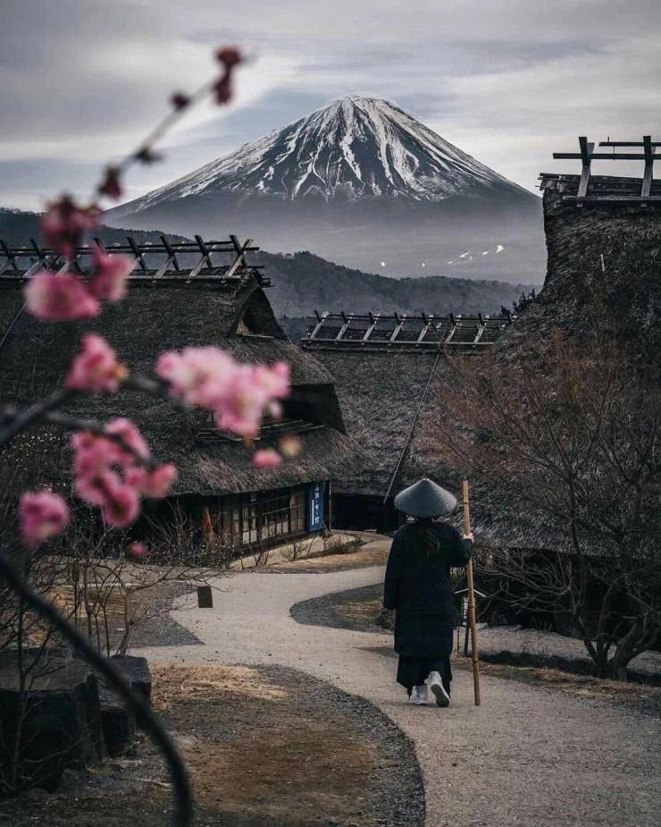 41 Breathtaking Images Capturing the Beauty of Our Remarkable World