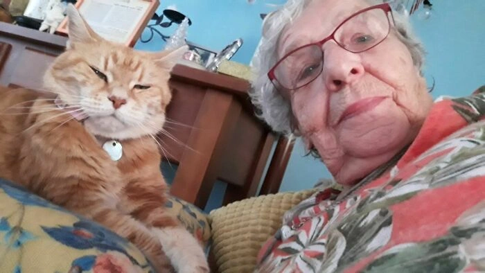 40 Heartwarming Images with a Meaningful Tale Behind Each One