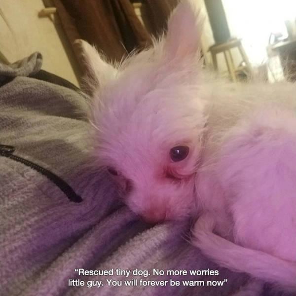 31 Heartwarming Images That Will Make You Believe in the Goodness of Humanity