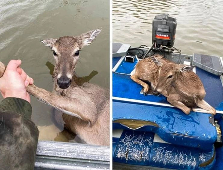 31 Heartwarming Images That Will Make You Believe in the Goodness of Humanity