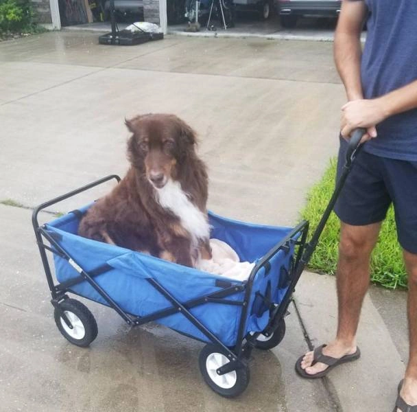 31 Heartwarming Images That Will Make You Believe in the Goodness of Humanity