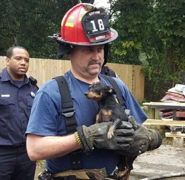 31 Heartwarming Images That Will Make You Believe in the Goodness of Humanity