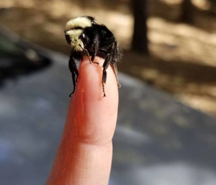 31 Heartwarming Images That Will Make You Believe in the Goodness of Humanity