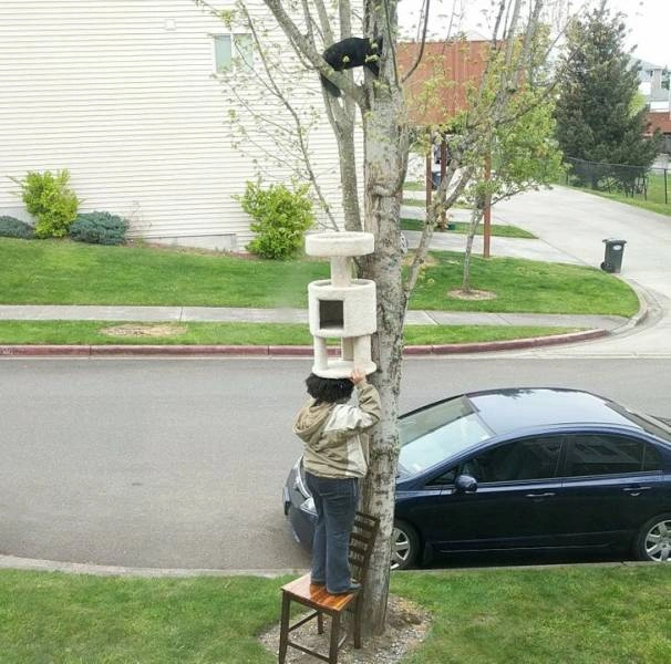 31 Heartwarming Images That Will Make You Believe in the Goodness of Humanity